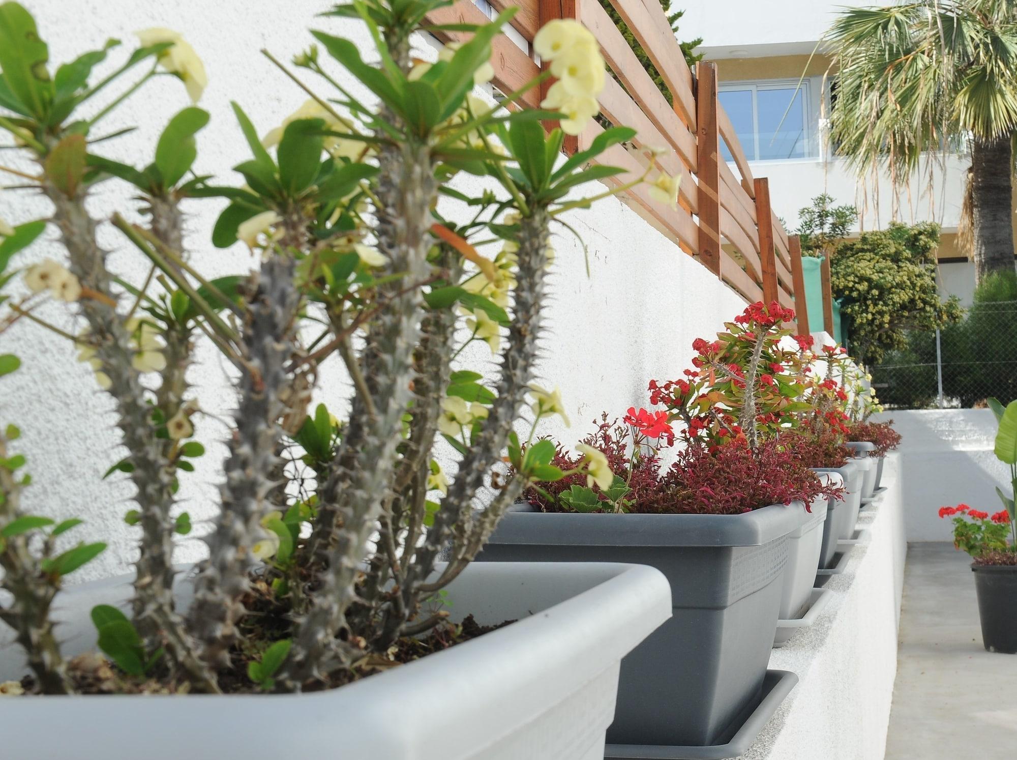 Vista Exterior Napa City Apartments