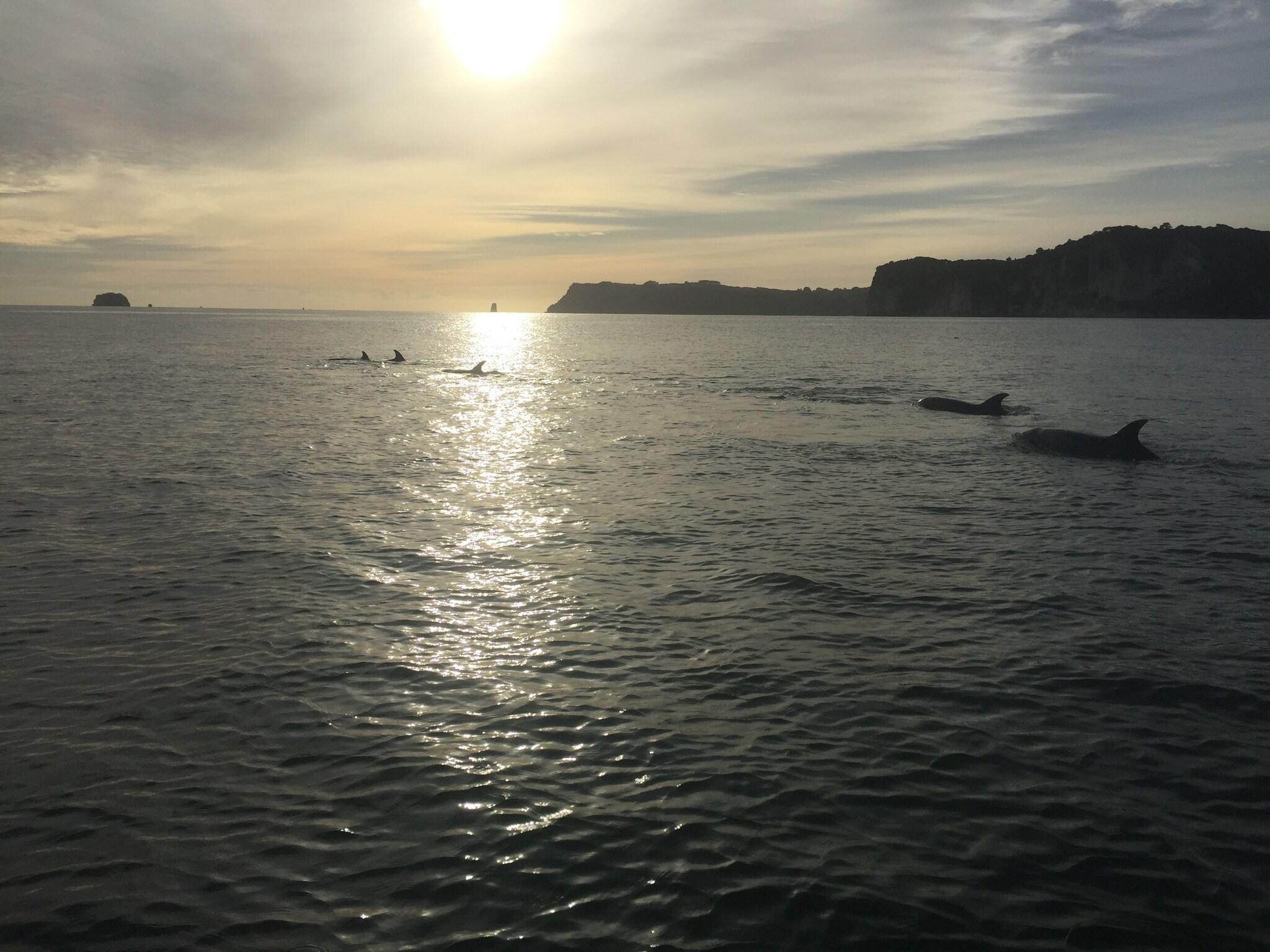 Vista Exterior Oceanside Motel