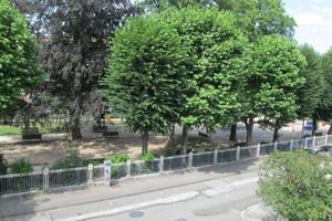Alojamiento - Residence  du Parc