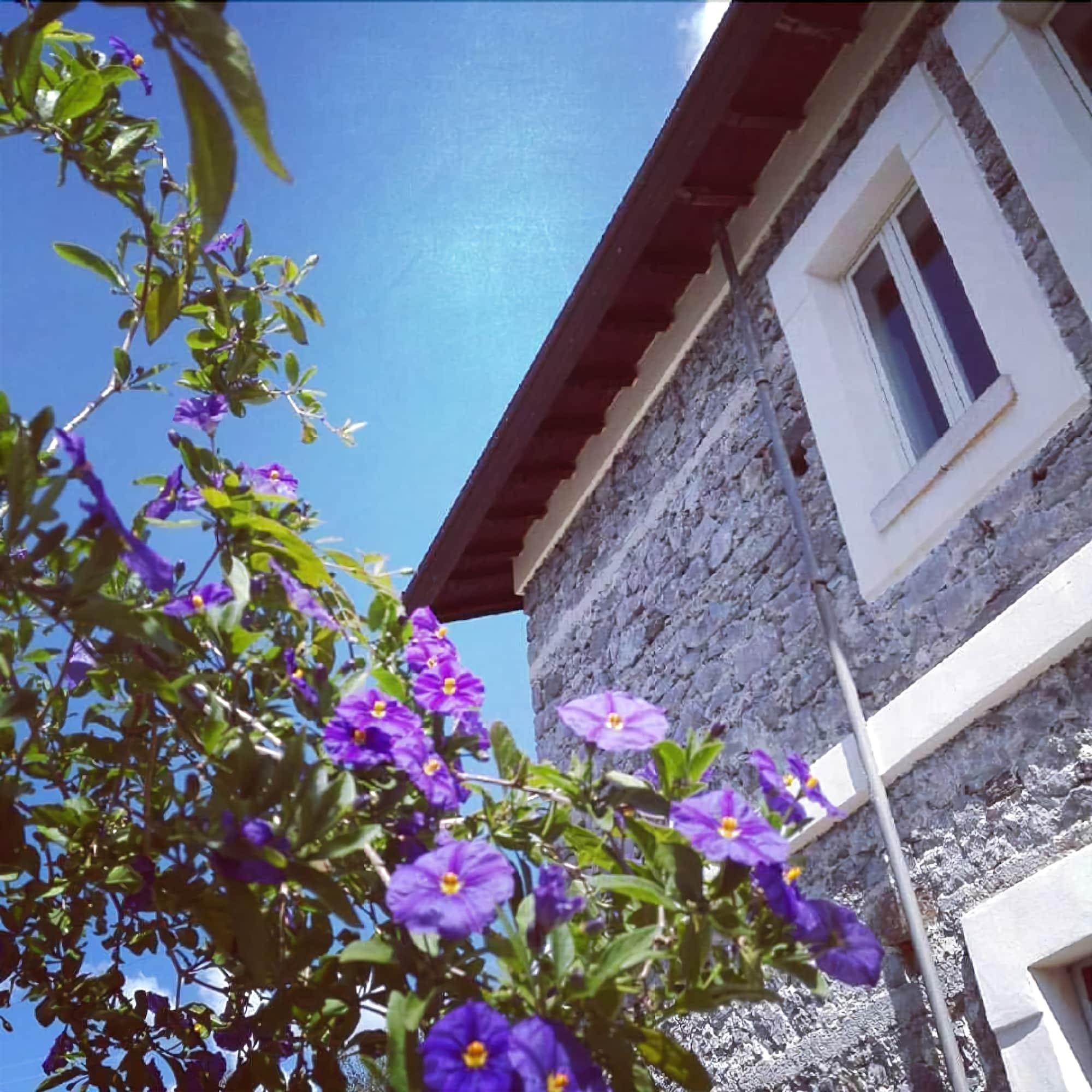 Varios Quarto Paradiso B&B