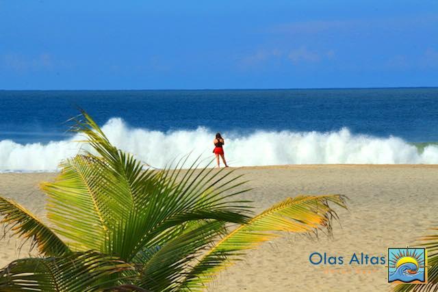 Miscellaneous Surf Olas Altas