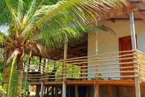Alojamiento - Ponta Poranga Jungle Lodge