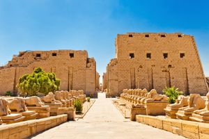 Actividad - Descubre Luxor - Excursión de día completo