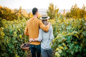 Actividad - Flavors of Querétaro: Wine and Organic Cheese Experience – Full-Day Tour