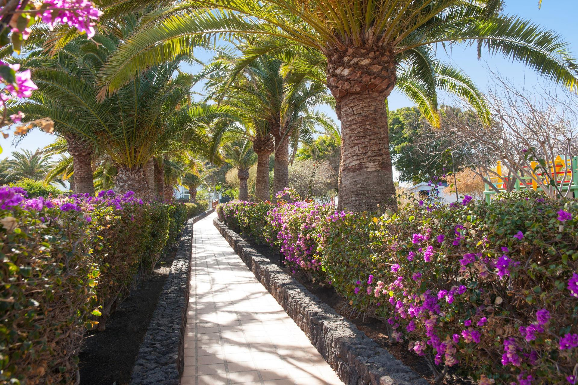 Vista Exterior Relaxia Olivina-All Inclusive