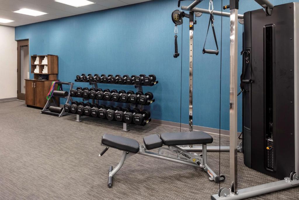 Instalaciones Recreativas Hampton Inn & Suites Avon Indianapolis