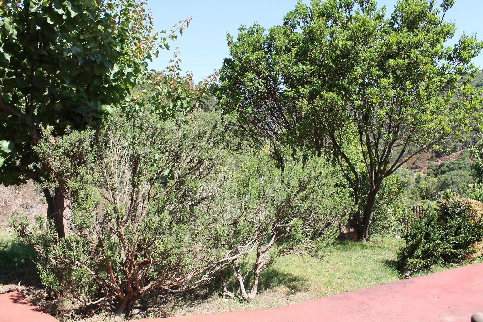 Vista Exterior Ostello su Mannau