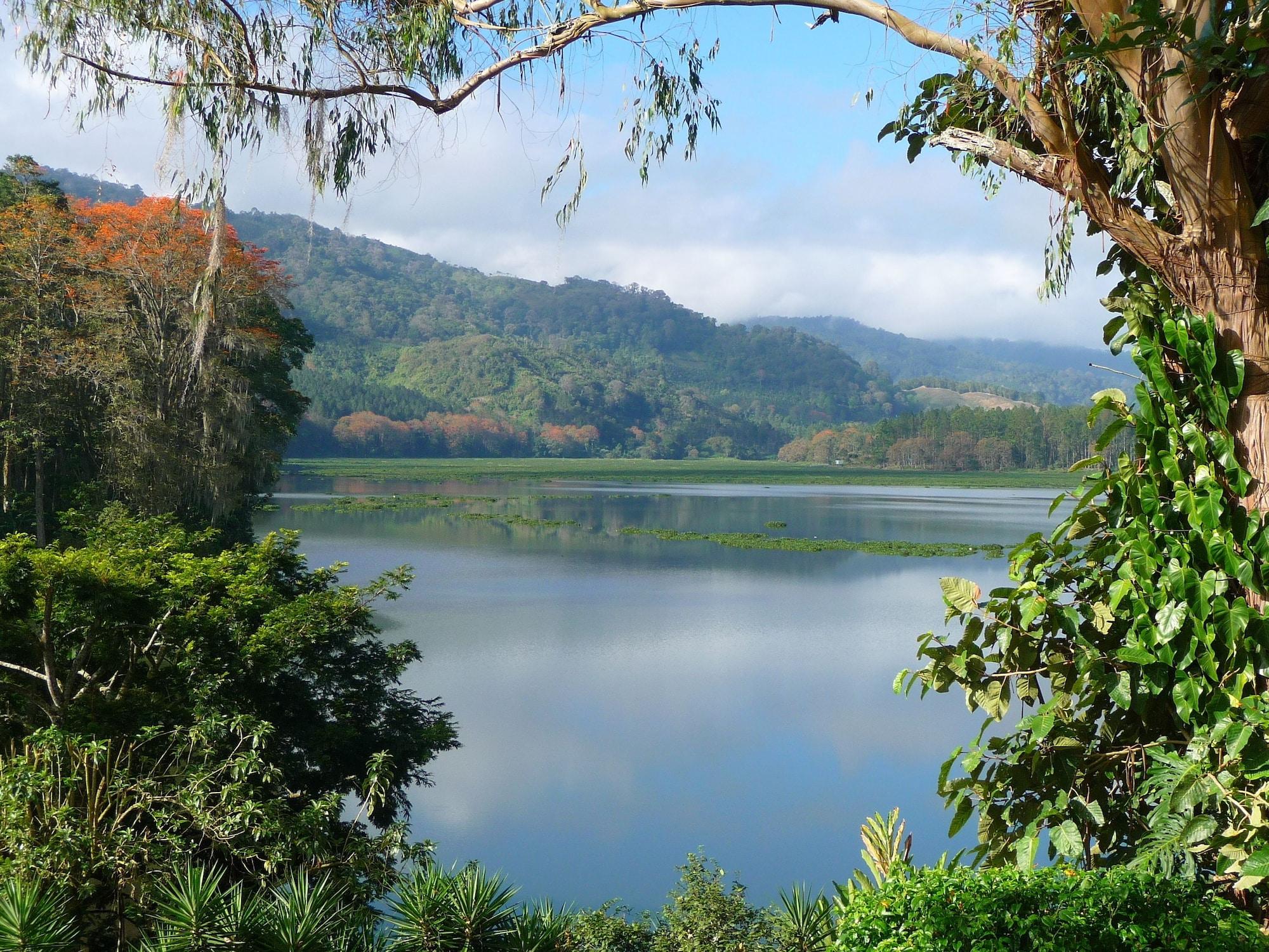 Comodidades del Alojamiento La Casona del Cafetal