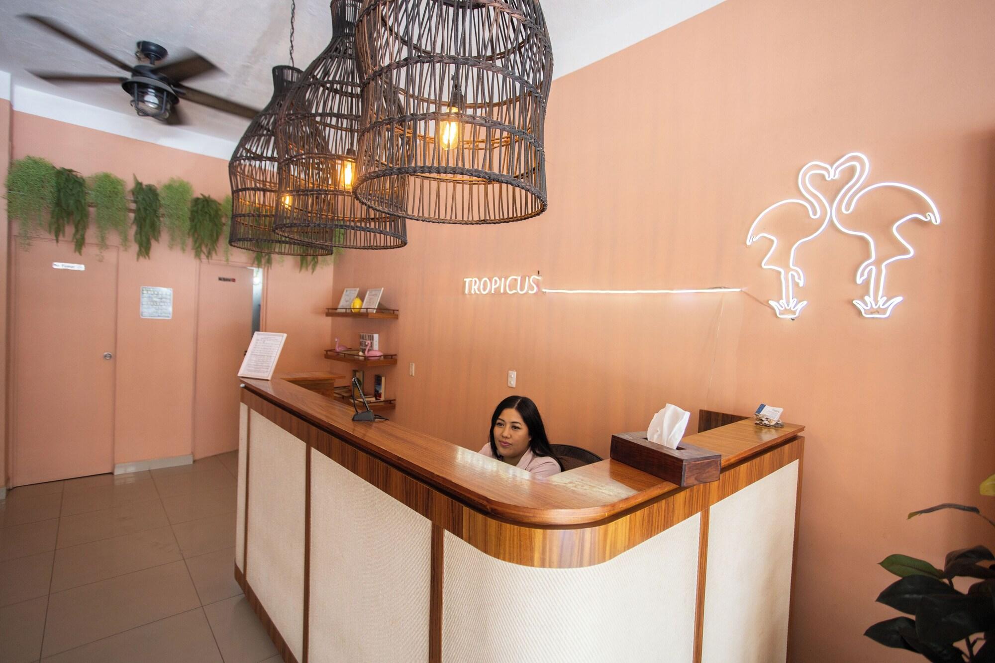Vista Lobby Hotel Tropicus Boutique
