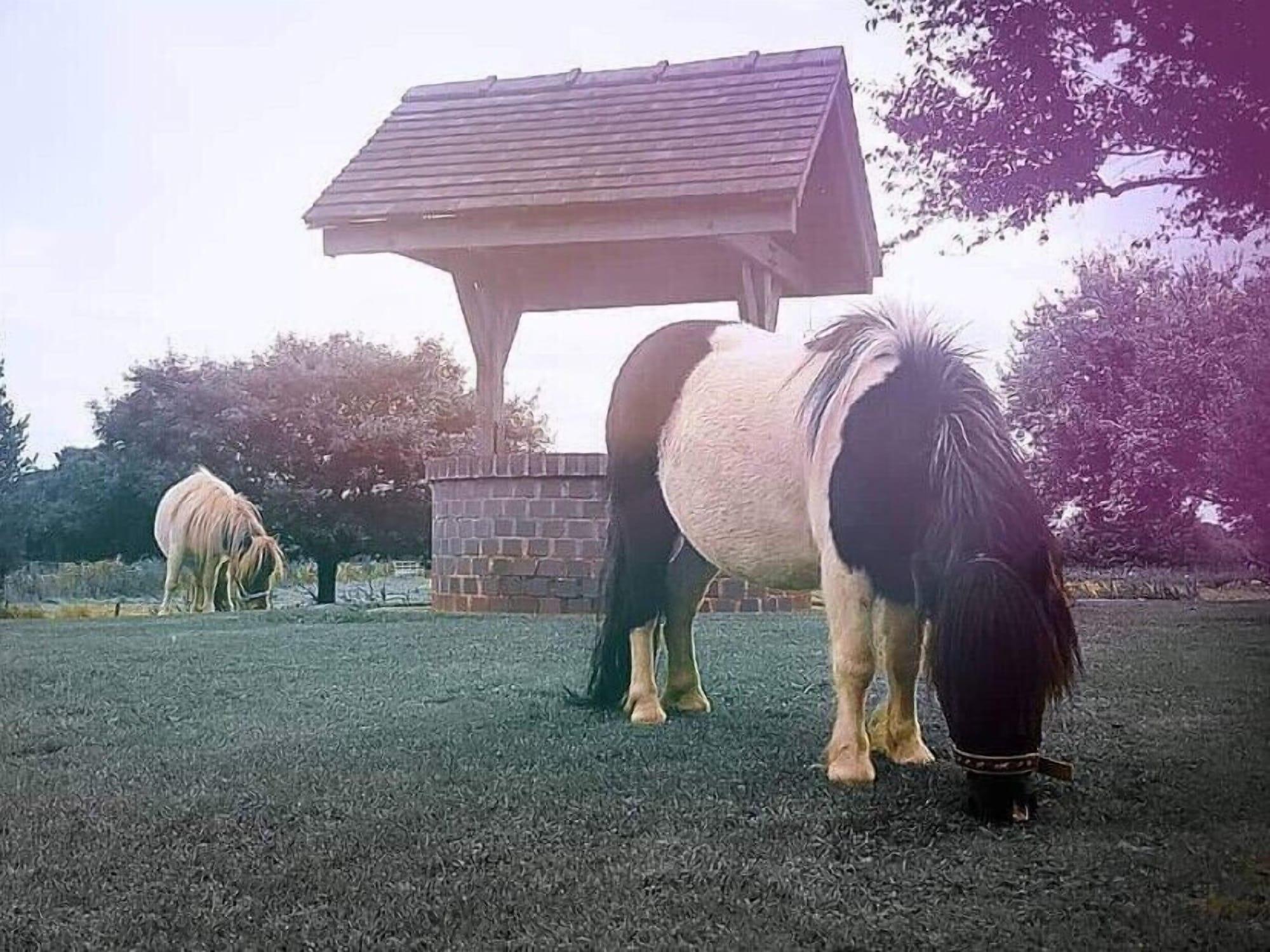 Equipamiento de Habitación The Moorhead Bed & Breakfast