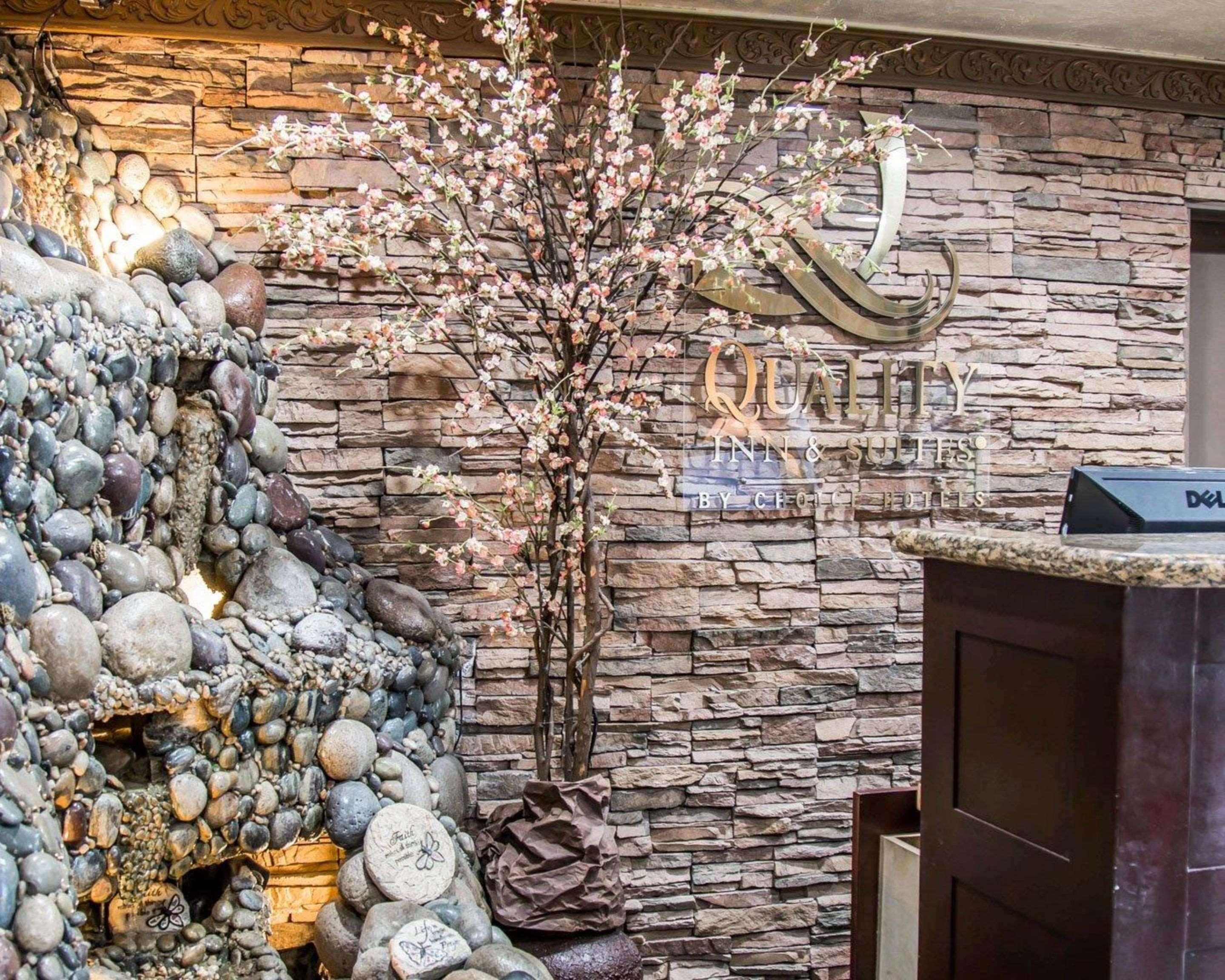 Vista Lobby Hotel Baja San Diego - A Boutique Hotel