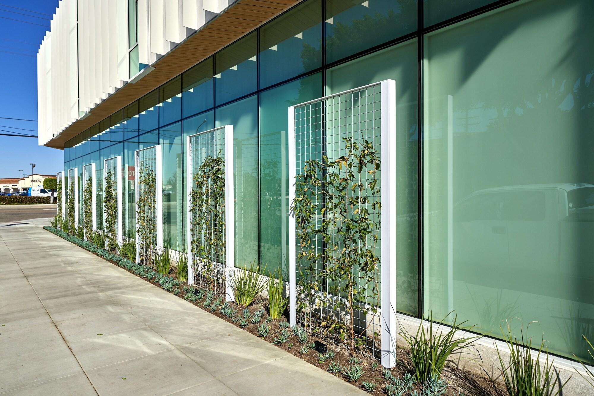 Vista Exterior Mayumi