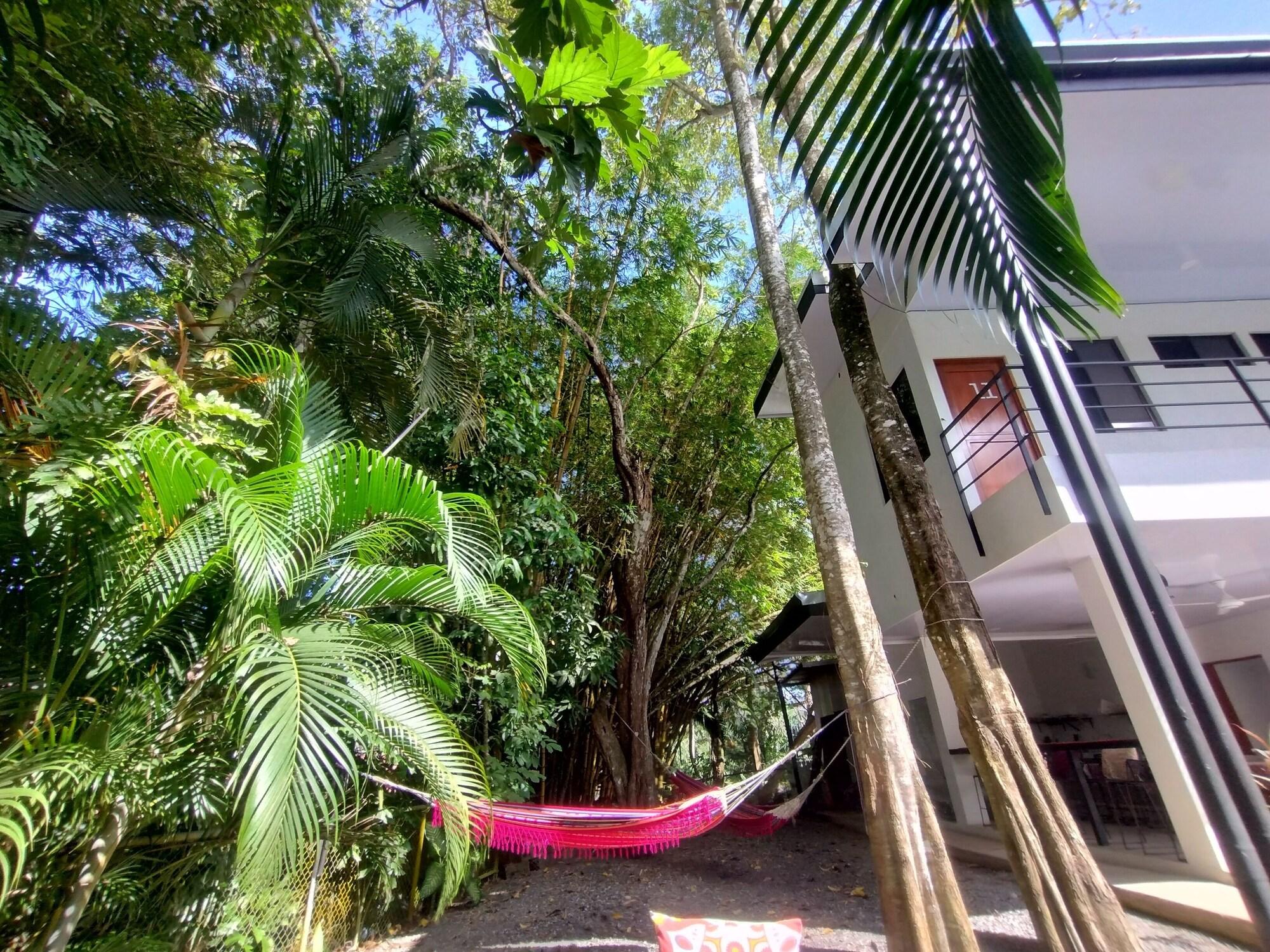 Varios Casa Jungla Hostel