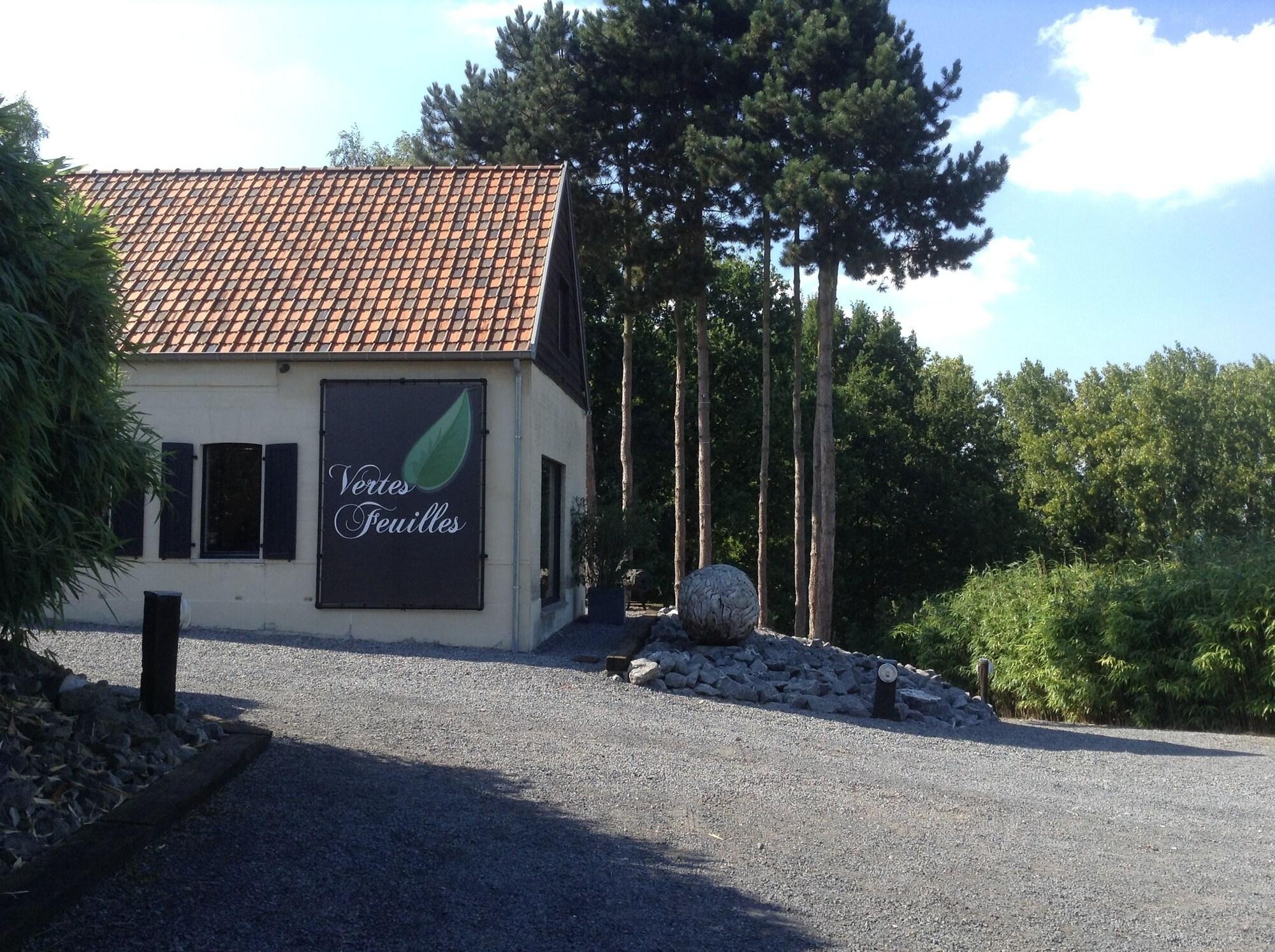 Varios Vertes Feuilles