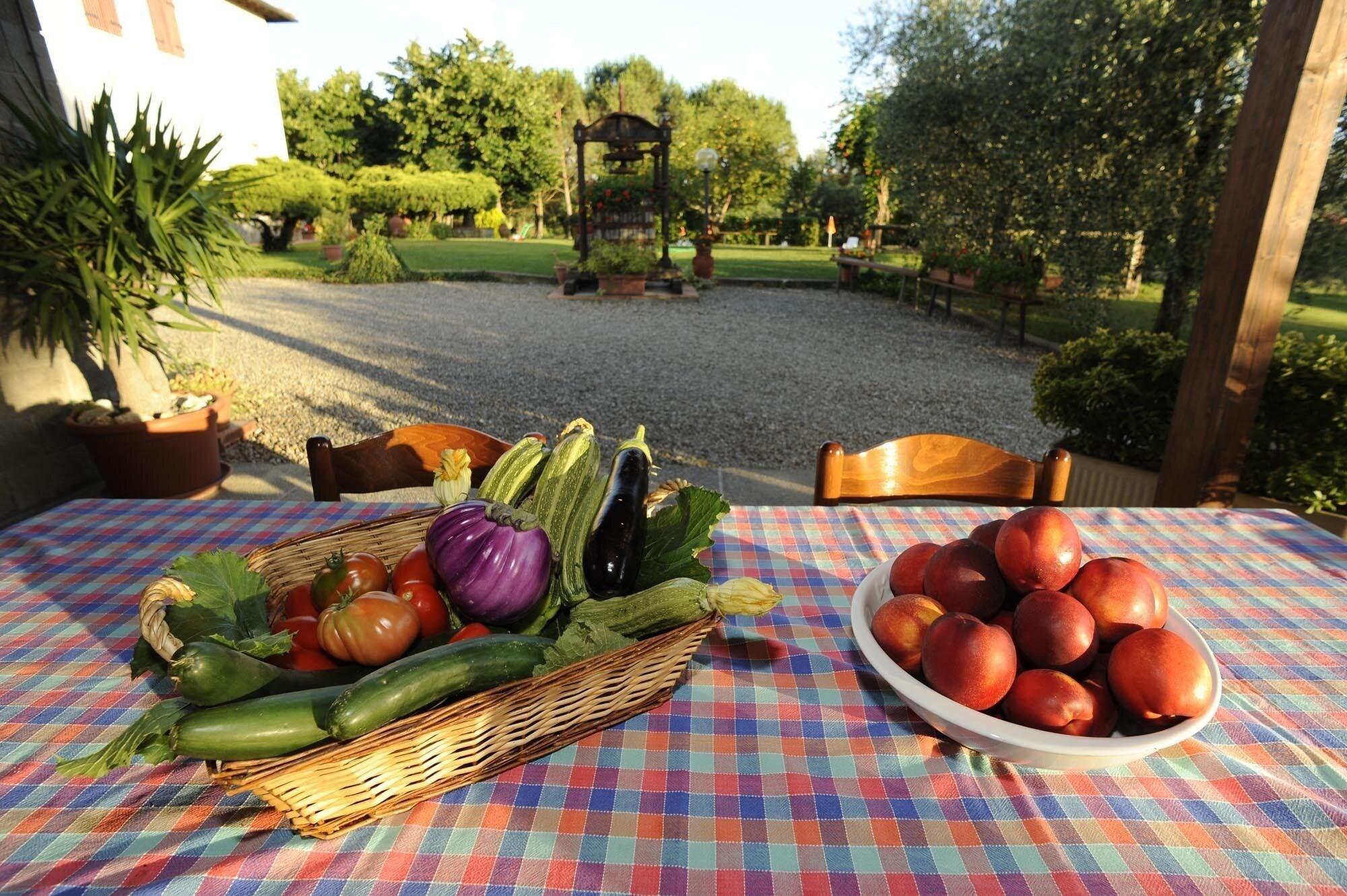 Restaurant Agriturismo Bellosguardo
