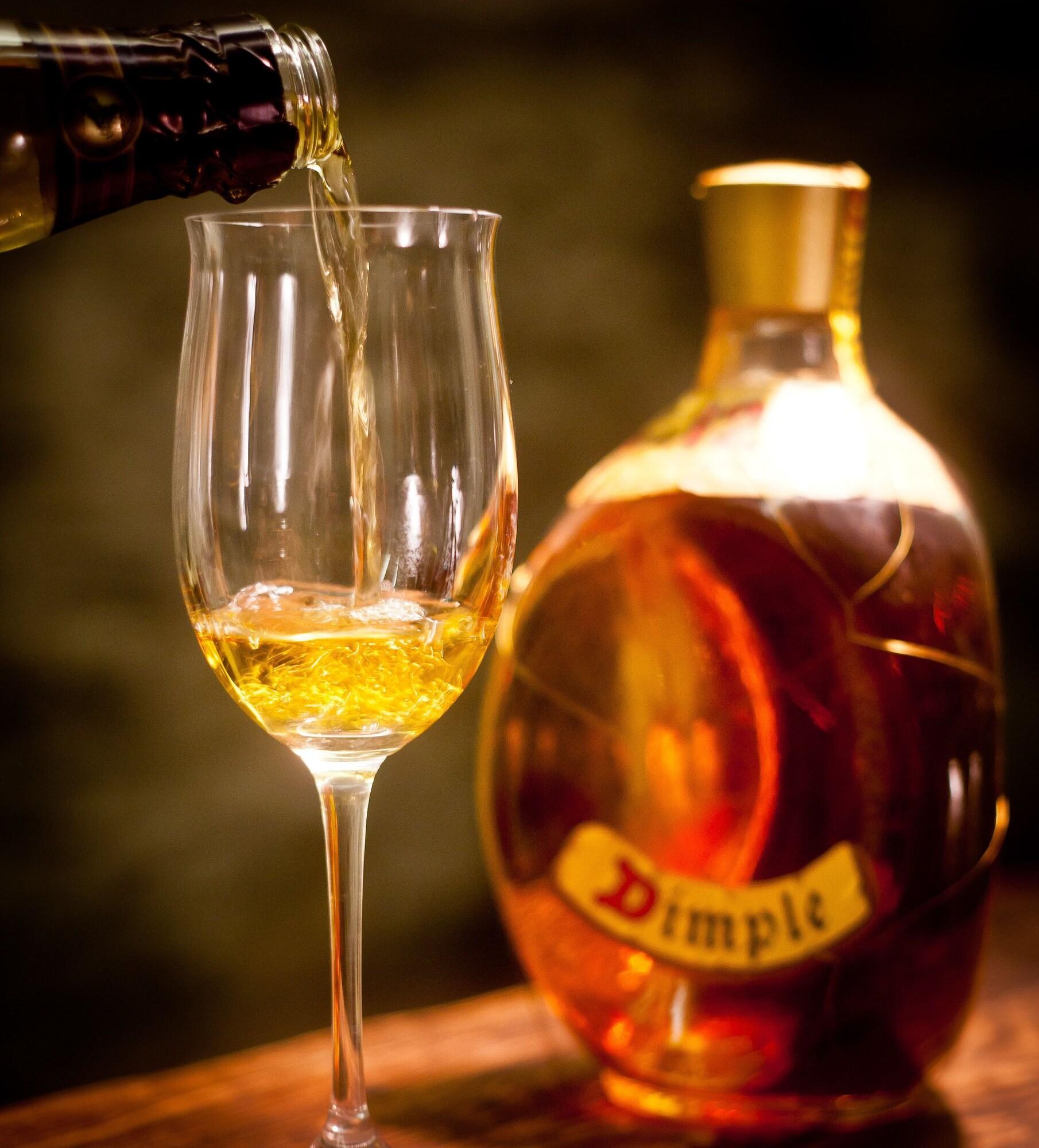 Bar/Salón Hotel Gasthof Mitteregger