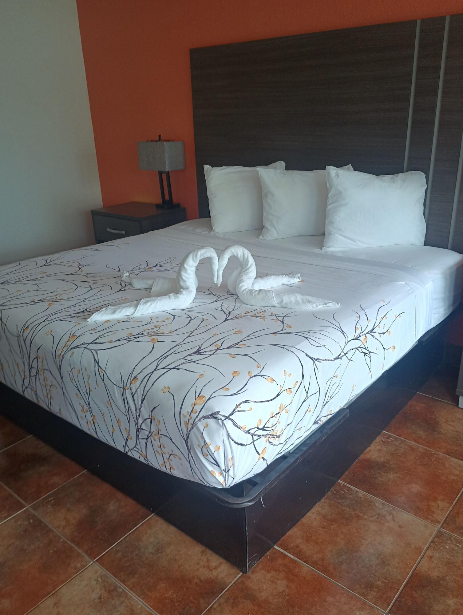 Habitación Altamonte Springs Hotel and Suites