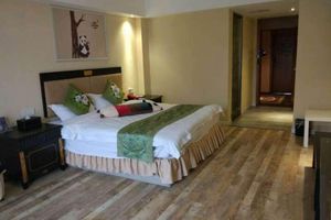 Alojamiento - Panda Cub Hotel China West Normal University Branch