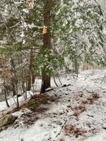 Renta temporal - Peaceful Catskill Mountains Cabin