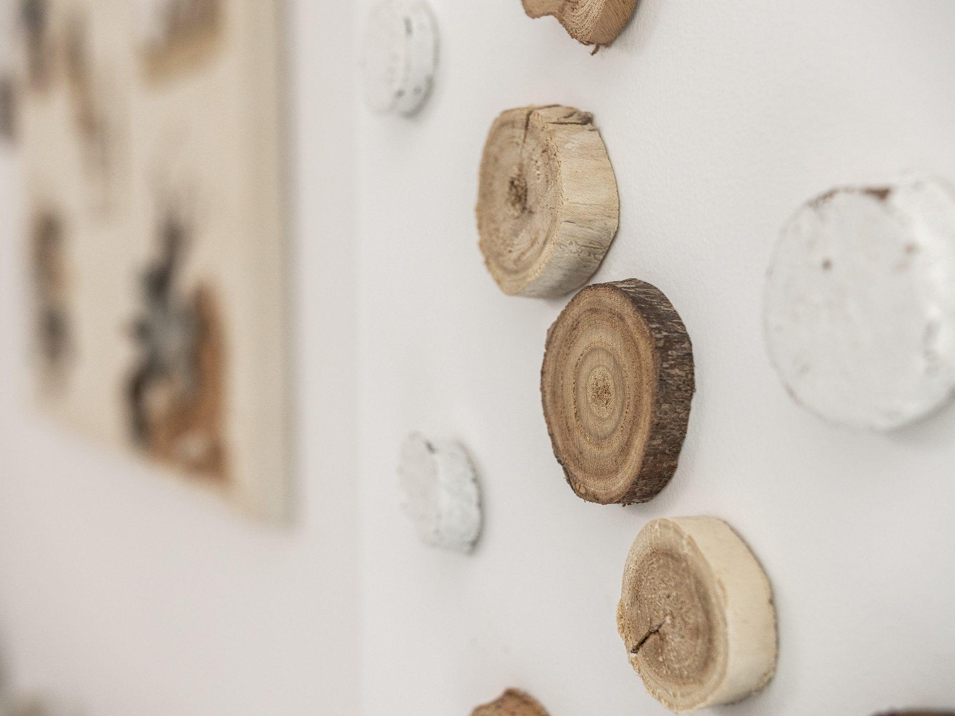 Comodidades del Alojamiento La Casa delle Stagioni