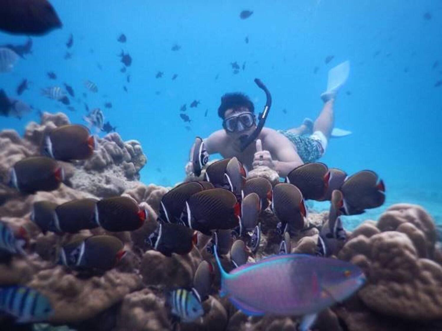 Instalaciones Recreativas Freddies Santai Sumurtiga