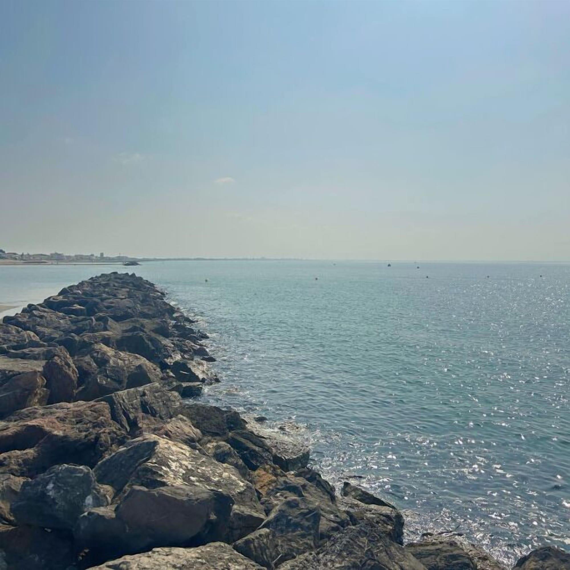 Playa Hôtel Le Carnon