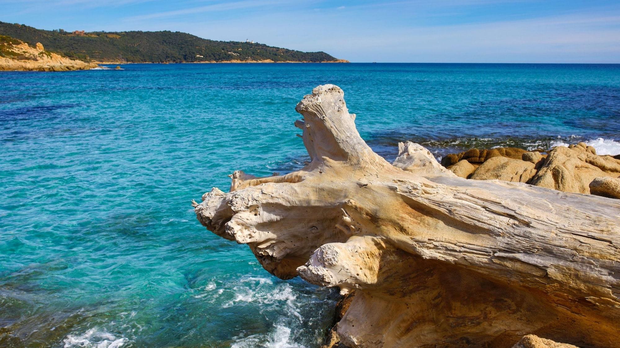 Playa Hôtel La Tartane Saint -Tropez