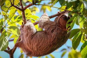Actividad - Visita al Parque Nacional Manuel Antonio