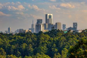 Alojamiento - Gem Forest Hotel Nairobi - MGallery Collection