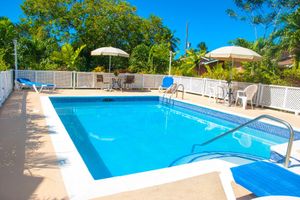 Alojamiento - Halcyon Palm