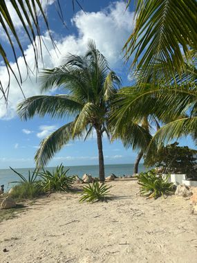 La Diosa Kali Beach Front Hotel - Hoteles en Holbox, México: todo incluido, baratos y ofertas