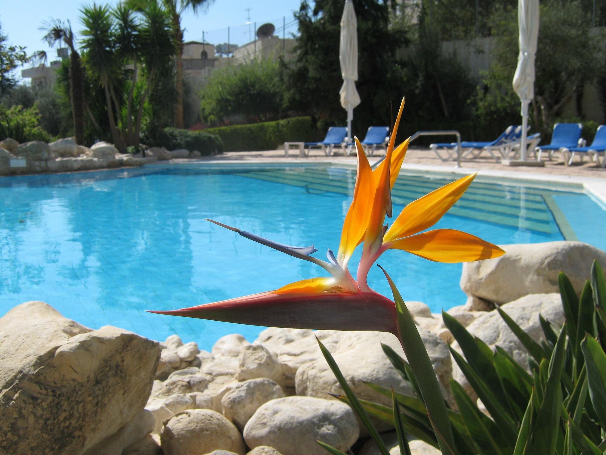 Vista Piscina Jacir Palace Hotel Bethlehem