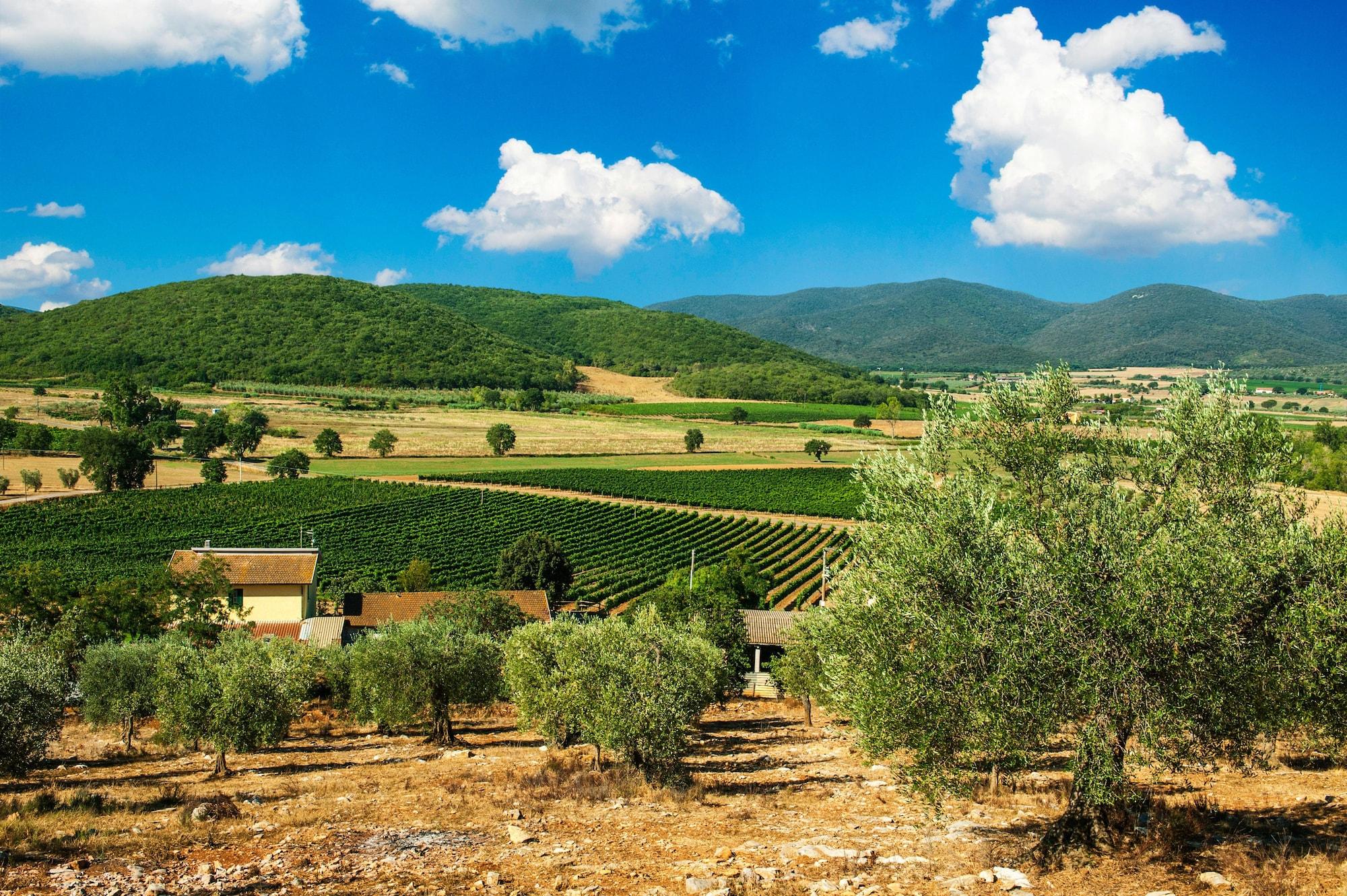 Vista Exterior Poggiolivi Agriturismo Bio in Maremma
