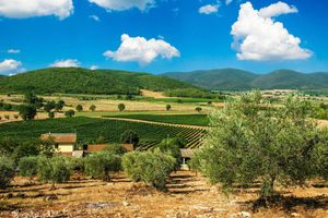 Alojamiento - Poggiolivi Agriturismo Bio in Maremma