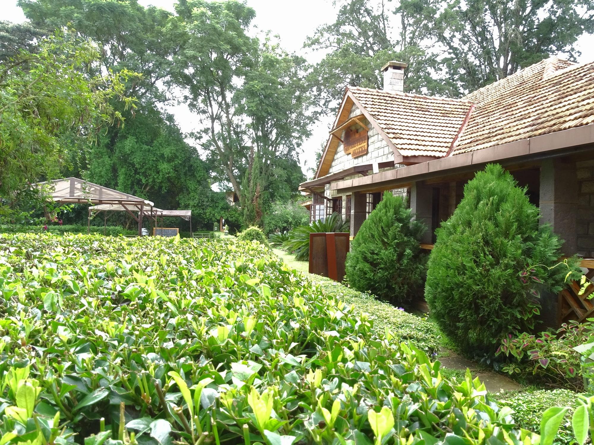 Restaurant Le Pristine Wellness and Healing Hotel