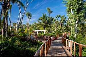 Alquiler Vacacional - Luxury 5 + Resort- VIDANTA Mayan Palace/ Riviera Maya,Los Cabos,Acapulco & more<br>