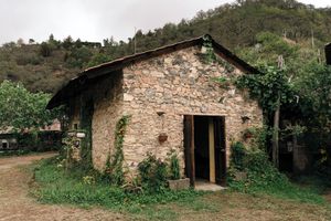 Alquiler Vacacional - Cabañas Xakali