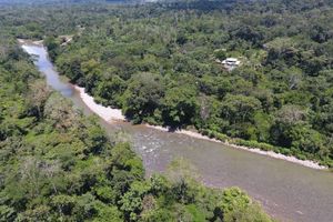 Alojamiento - Suchipakari Jungle Lodge