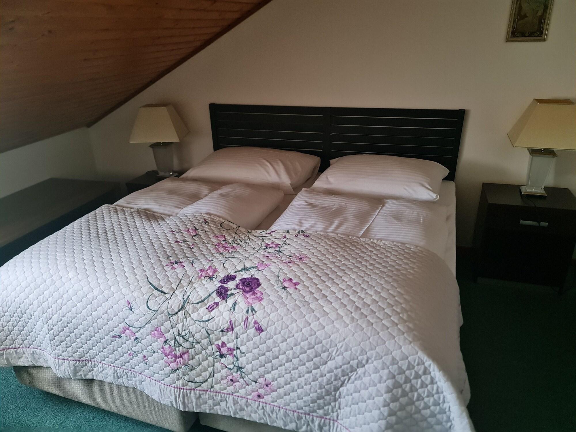 Habitación Grand Vltavín