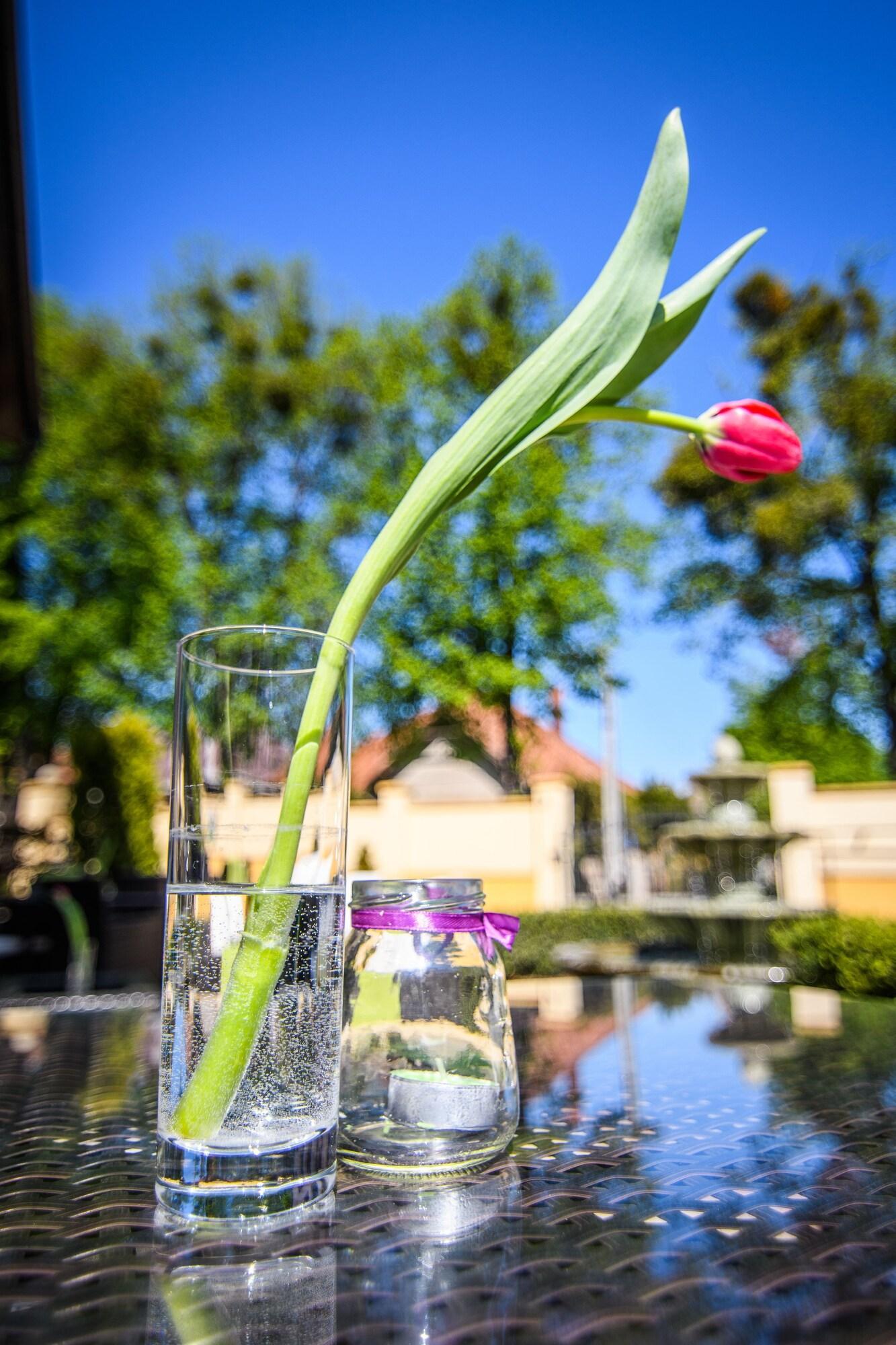 Vista Exterior The Rooms by Dalia