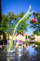 Alojamiento - The Rooms by Dalia