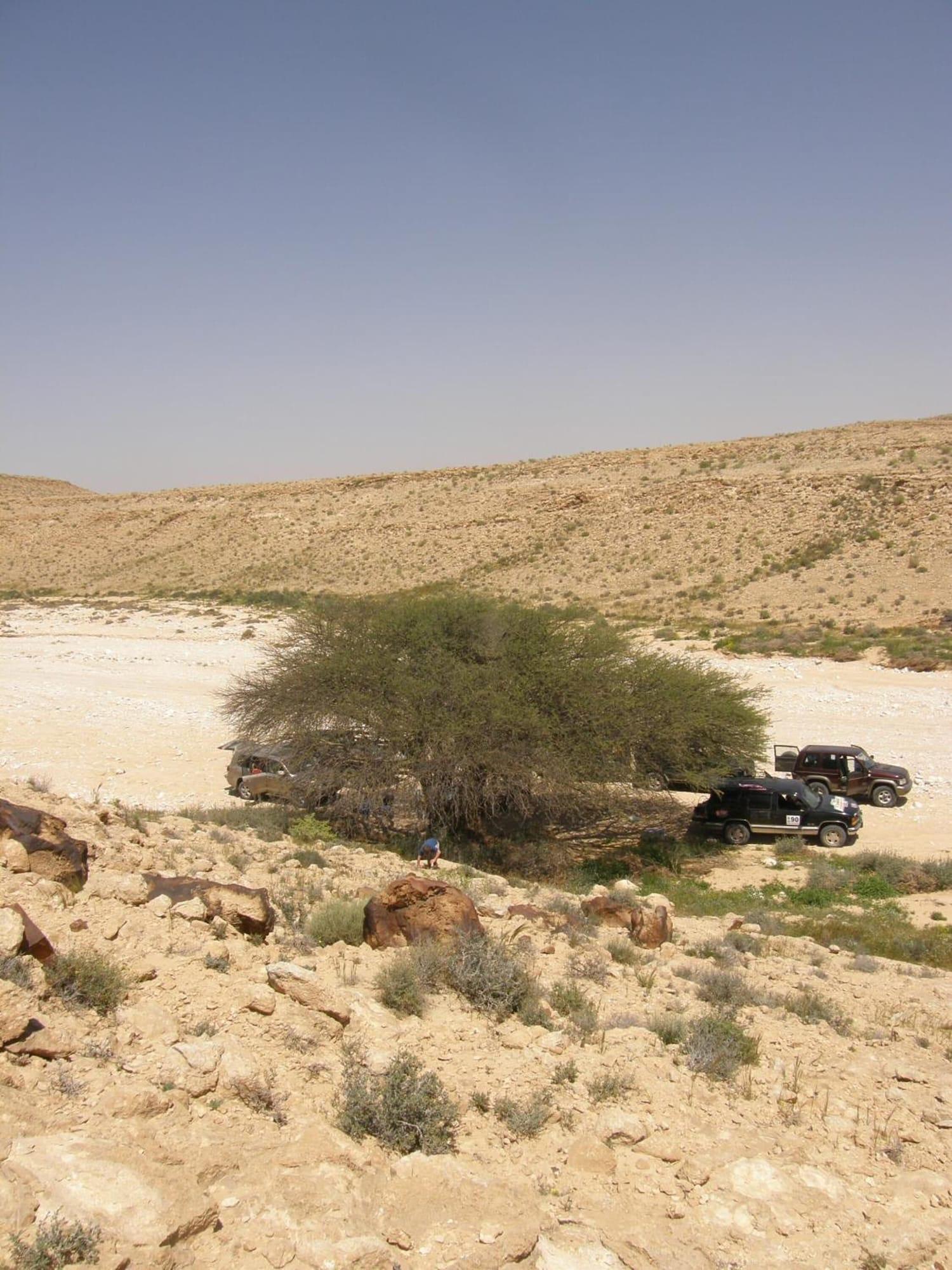 Playa Hadass Desert Inn