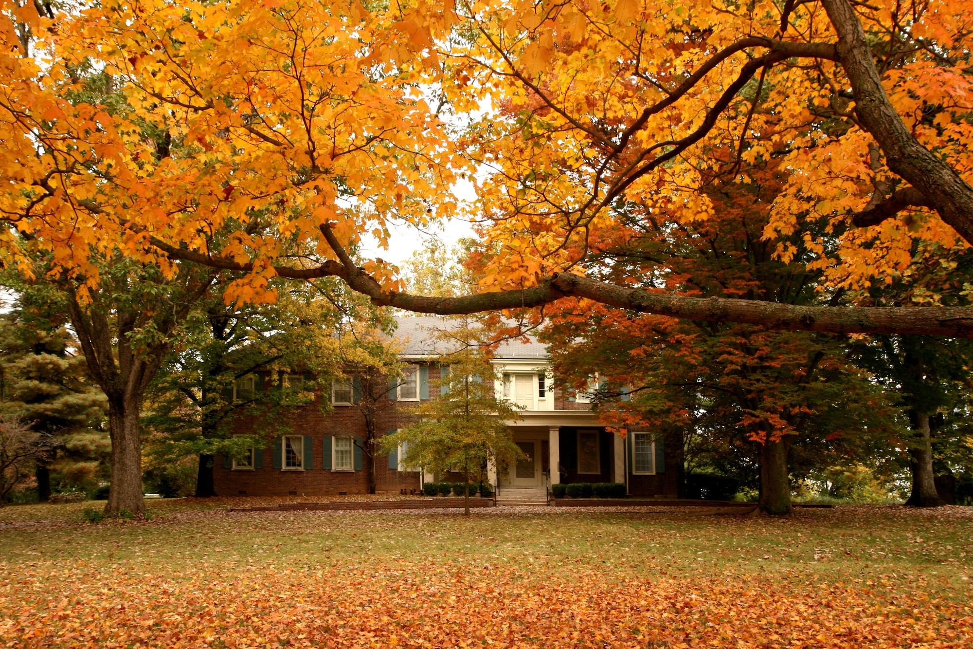 Vista Exterior Charred Oaks Inn