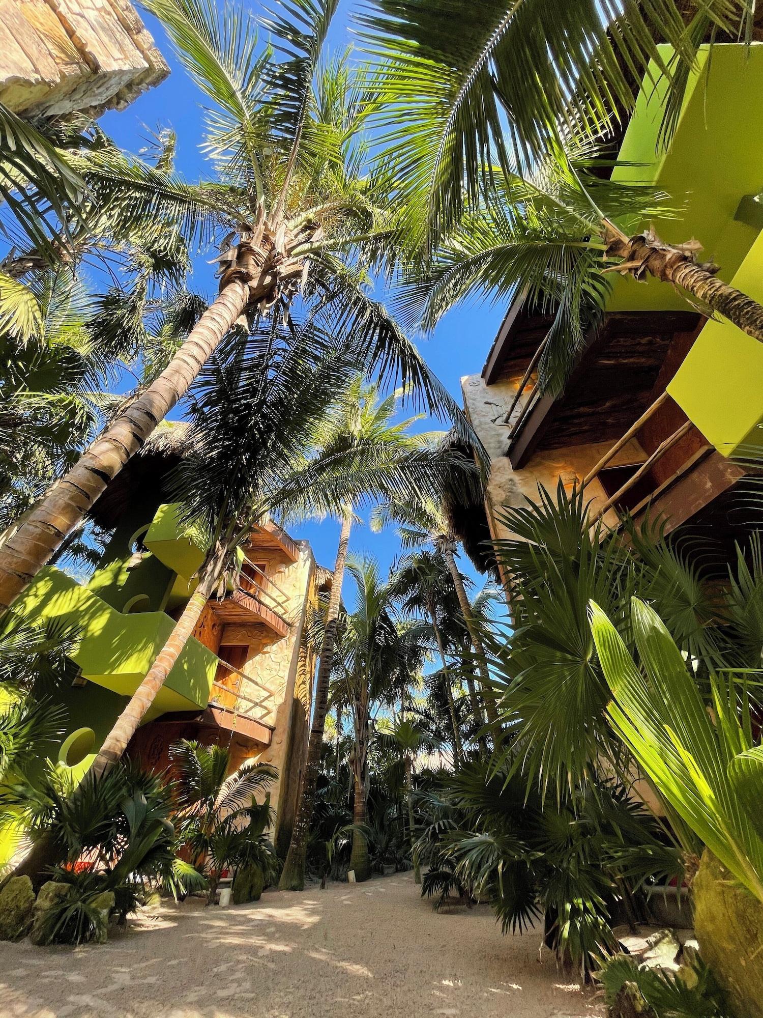 Vista Exterior Sueños Tulum