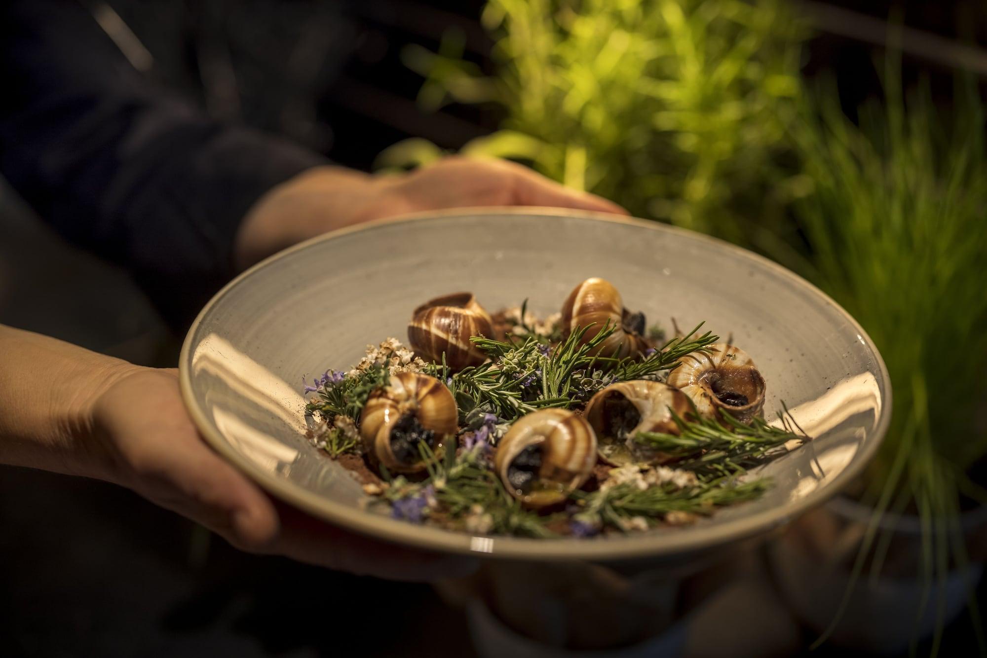 Restaurant Adriatic Hotel by Maistra Collection