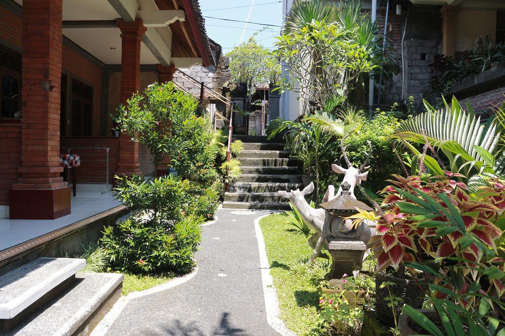 Comodidades del Alojamiento Citrus Tree B&B - Arik