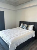 Alquiler Vacacional - Cozy Studio in San Jose, La Sabana. 25th Floor