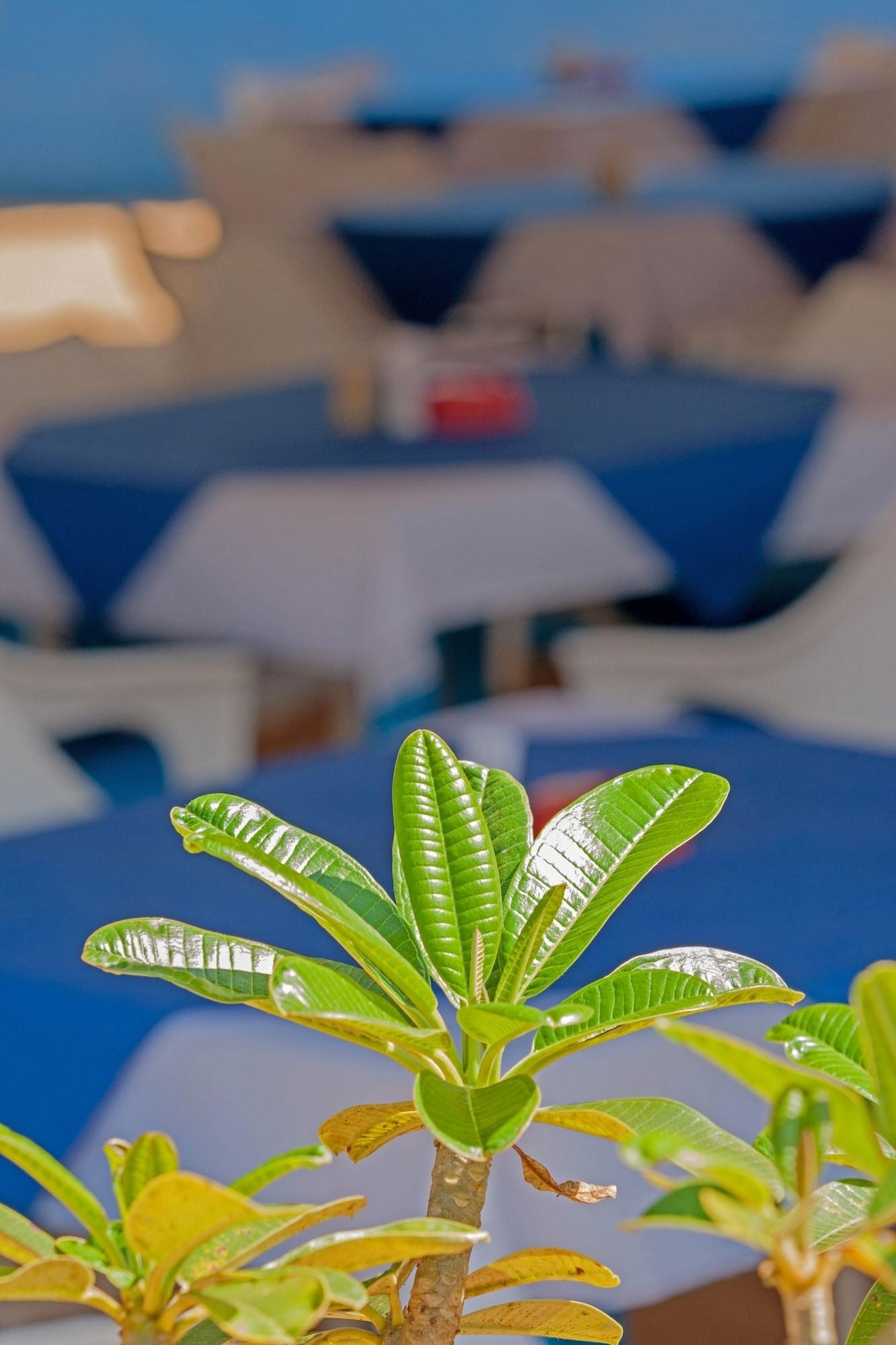 Restaurant Cuba Agonda