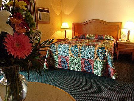 Hotel Bahia by null