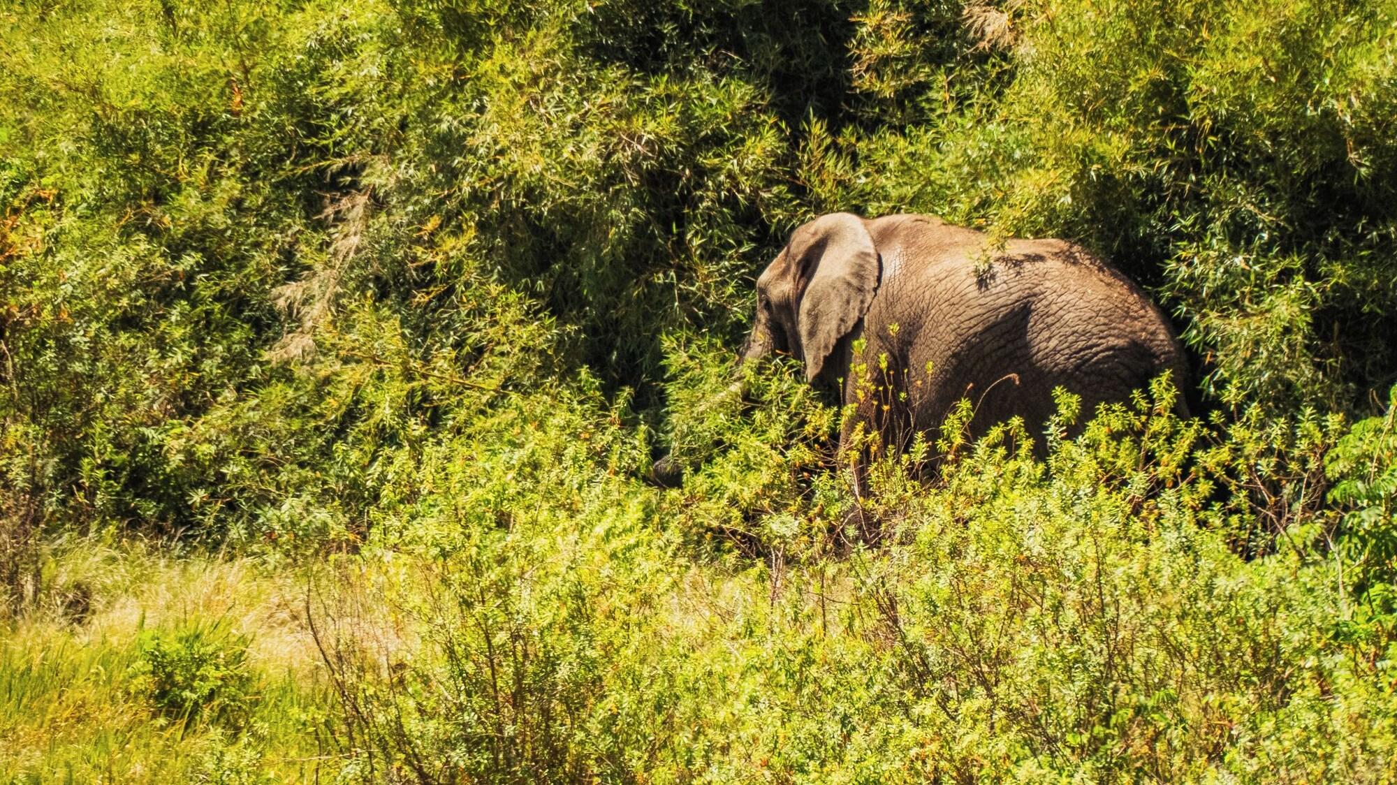 Equipamiento de Habitación TheAnabas Trout & Seafood Grill